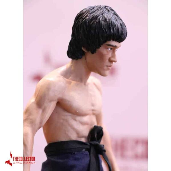 Bruce Lee بروس لی X-H china